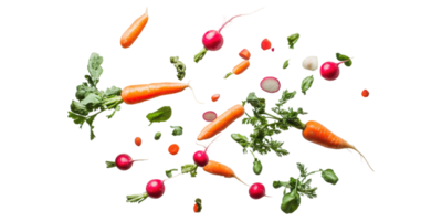 Assorted fresh vegetables including carrots and radishes isolated on transparent background png