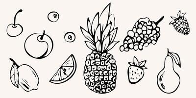 Hand drawn set with fruits. pineapple, lemon, pear, cherry and grapes in whimsical line art style. Monochrome illustration for menu, design prints, packaging, posters, and invitations vector