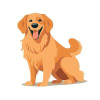Happy golden retriever sitting in a playful pose against a simple background vector