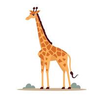 Giraffe standing proudly in a grassy area with playful clouds in the background vector