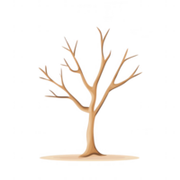 A stylized illustration of a bare tree with detailed branches and a simple base. png
