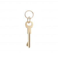 A shiny golden key on a ring, symbolizing access, security, and opportunity. png