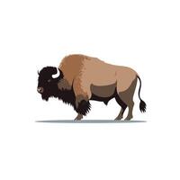 Buffalo design featuring a detailed depiction of wildlife in a natural setting during daylight vector