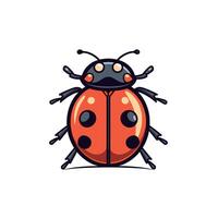 Colorful ladybug illustration with distinct patterns and vibrant colors on a simple background vector