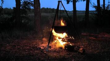 A large cooking pot hangs above a crackling campfire in a serene forest setting during twilight. Flames flicker against the darkening sky as the meal cooks. video