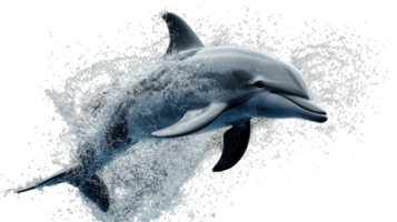A Playful Dolphin Jumping Out of the Water - A Stunning Image Capturing the Joyful Moment of a Dolphin in Action Perfect for Marine Life Projects, Educational Materials, and Nature Documentaries. png