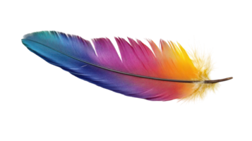 A Colorful Bird Feather Displaying a Soft Texture, Perfect for Illustrations or Nature-Themed Projects to Enhance Visual Appeal. png
