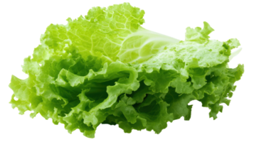 Fresh and Crisp Iceberg Lettuce Leaf Isolated on White Background Ideal for Healthy Meal Planning and Salad Preparation. png