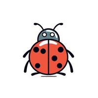 Colorful ladybug illustration on a simple background showcasing its distinct features vector