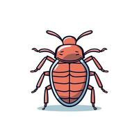 Detailed illustration of a bed bug showcasing its distinct features and body structure vector