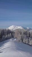 Aerial view of a serene winter landscape showcasing a snow-covered mountain and a dense forest. Bright blue sky adds to the stunning beauty of nature in this peaceful setting. Vertical footage video