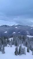 Snow blankets the landscape as tall evergreen trees rise from the ground, creating a serene winter scene. Clouds hover over the majestic mountain range in the distance. Vertical footage video
