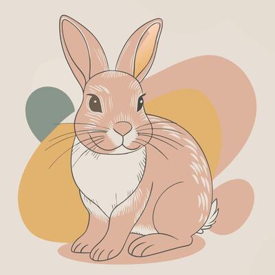 Cartoon rabbit Illustration design