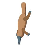 Platypus diving and searching for food in a river vector
