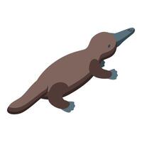 Platypus swimming in isometric view, ornithorhynchus anatinus vector
