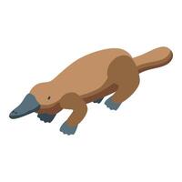 Platypus swimming in isometric view, ornithorhynchus anatinus in motion vector