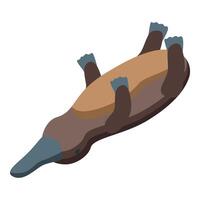 Platypus swimming upside down showing belly and paws vector