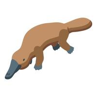 Platypus walking and searching for food in isometric view vector