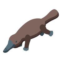 Brown platypus is walking in isometric view vector