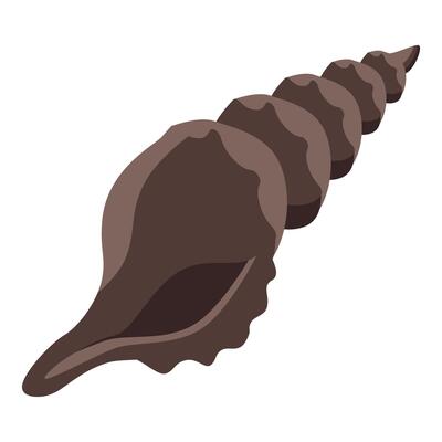 Brown spiral seashell evoking tropical beaches and ocean wonders
