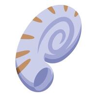 Large whelk shell showing spiral pattern and opening vector