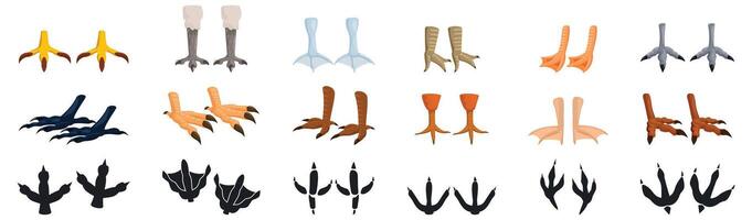 Bird feet icons set. Different types of bird feet and their footprints showing variety and adaptation vector