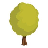 Green tree with round crown standing tall and lush vector