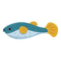 Pufferfish swimming with fins outstretched and body inflated vector