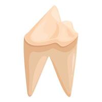 Carious premolar tooth showing dentin and enamel erosion vector