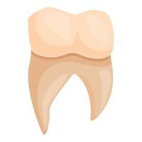 Healthy human tooth showing crown and root structure vector