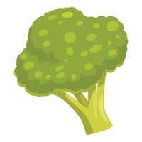 Fresh green broccoli floret showing healthy eating and vibrant green color vector