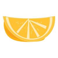 Orange slice showing its juicy texture and refreshing appeal vector