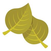 Two green leaves overlapping creating a natural design vector
