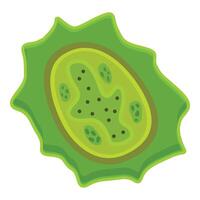Green virus cell spreading showing nucleus and cytoplasm vector