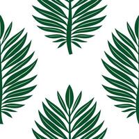 Botanical Tropical Leaves Seamless Tile Pattern Detailed Palm Banana Leaves on White Background for Lush Interiors Perfect for Photo Stock Concepts with Space vector
