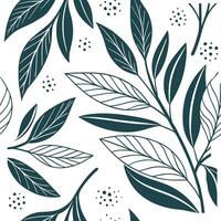 Seamless Botanical Sage Leaves Pattern with Green Stems on White vector