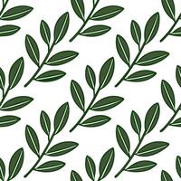 Detailed Botanical Sage Leaves Seamless Pattern Lush Green Stems on White Background for Natural Themed Designs Perfect for Photo Stock with Space for Customization vector