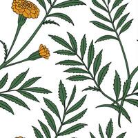 Botanical Garden Marigold Seamless Tile Pattern Various Marigold Species in Natural Oranges on White Background for Serene Spaces Perfect Photo Stock Concept with Left Space vector