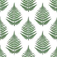 Various Fern Species in Natural Green Hues on White Background Botanical Garden Seamless Tile Pattern for Serene Spaces vector