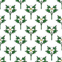 Stunning Botanical Anemone Seamless Pattern Detailed Petals and Lush Green Stems on White Background Perfect for Natural Themed Designs in Photo Stock with Space for Customizati vector