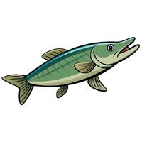 Pike Fish Outline for Web Graphics design white background vector