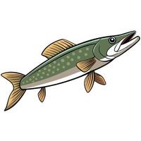 Pike Fish for Nature Projects vector