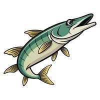 Pike Fish Flat Design Art vector
