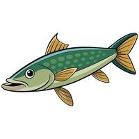 pike Fish Outline for Web Graphics illustration design vector