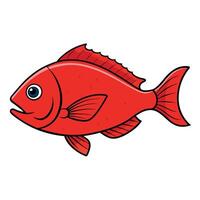 Fresh Red Snapper Design vector
