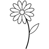 Daisy bloom tilted slightly in artistic line drawing vector