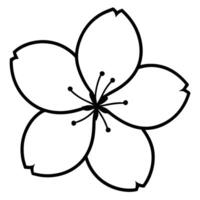 Cherry blossom with striking bold linework design vector