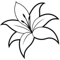 Lily flower with curvy and elegant petal design vector