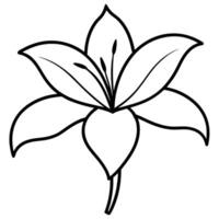 Lily flower viewed from below with elegant petals vector