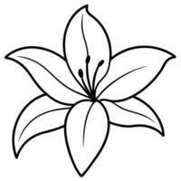 Lily flower with overlapping petals and prominent stamen vector